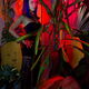 Image for article titled 10 Female Artists of Color on the Rise